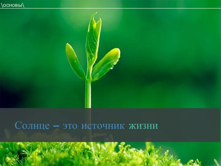 \основы\ Солнце – это источник жизни