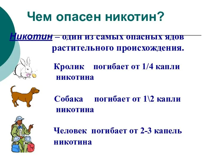 Чем опасен никотин? Никотин – один из самых опасных ядов растительного