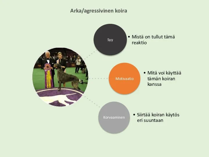 Arka/agressivinen koira