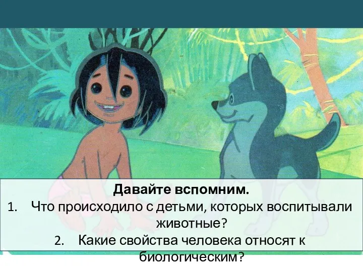 Давайте вспомним. Что происходило с детьми, которых воспитывали животные? Какие свойства человека относят к биологическим?