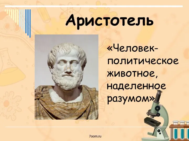 Аристотель «Человек- политическое животное, наделенное разумом»