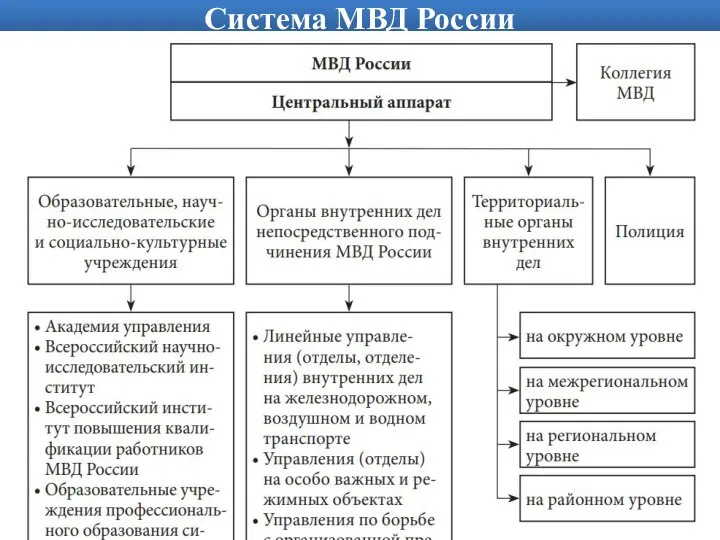 Система МВД России