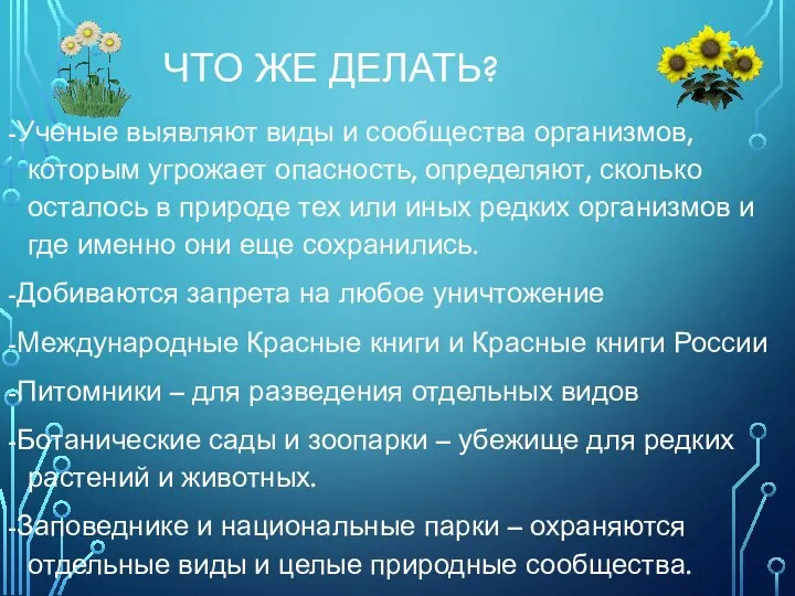 ЧТО ЖЕ ДЕЛАТЬ? -Ученые выявляют виды и сообщества организмов, которым угрожает