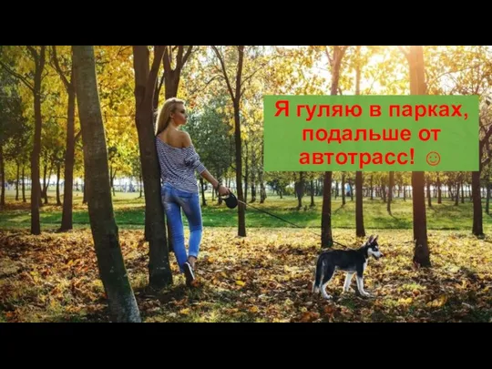 Я гуляю в парках, подальше от автотрасс! ☺