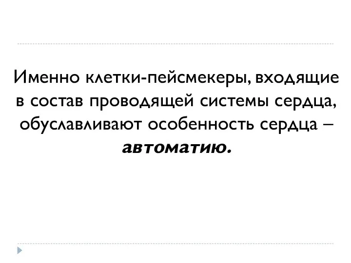 Именно клетки-пейсмекеры, входящие в состав проводящей системы сердца, обуславливают особенность сердца – автоматию.