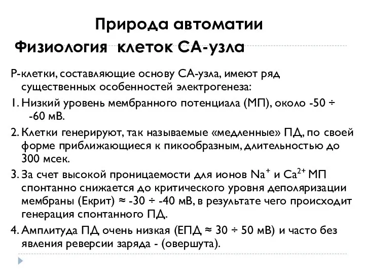 Физиология клеток СА-узла Р-клетки, составляющие основу СА-узла, имеют ряд существенных особенностей