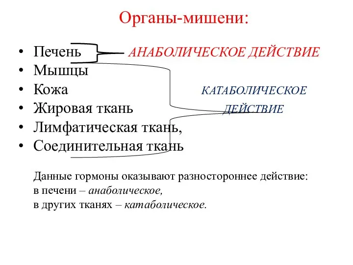 Органы-мишени: Печень АНАБОЛИЧЕСКОЕ ДЕЙСТВИЕ Мышцы Кожа КАТАБОЛИЧЕСКОЕ Жировая ткань ДЕЙСТВИЕ Лимфатическая