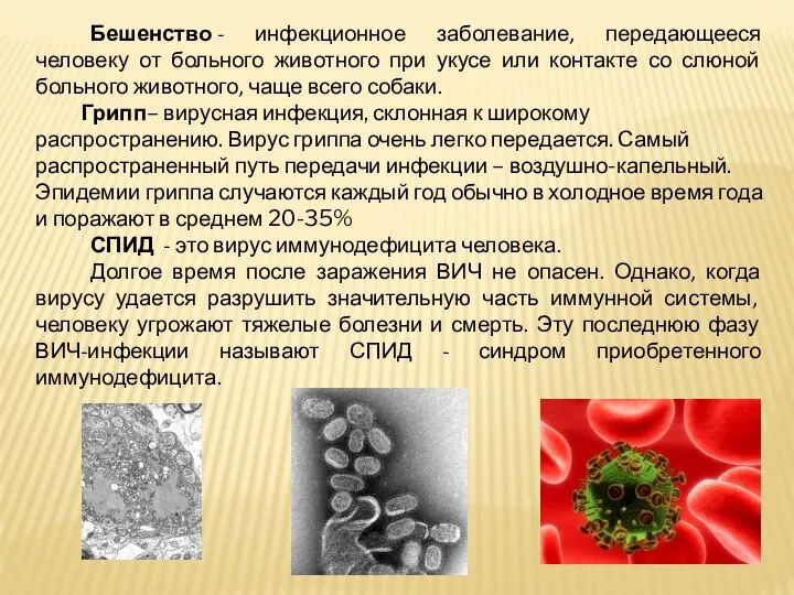 Бешенство - инфекционное заболевание, передающееся человеку от больного животного при укусе