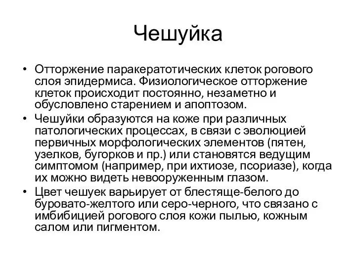 Чешуйка Отторжение паракератотических клеток рогового слоя эпидермиса. Физиологическое отторжение клеток происходит