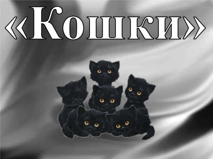 «Кошки»