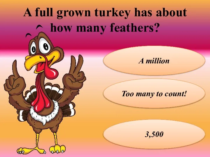 A full grown turkey has about how many feathers? A million Too many to count! 3,500