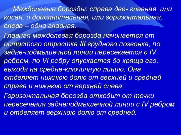 Междолевые борозды: справа две- главная, или косая, и дополнительная, или горизонтальная,