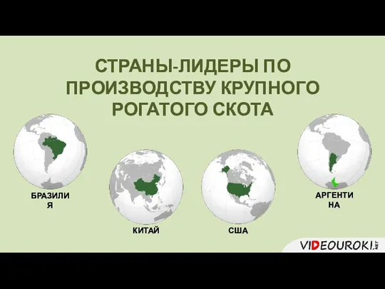 СТРАНЫ-ЛИДЕРЫ ПО ПРОИЗВОДСТВУ КРУПНОГО РОГАТОГО СКОТА БРАЗИЛИЯ КИТАЙ США АРГЕНТИНА