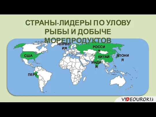 СТРАНЫ-ЛИДЕРЫ ПО УЛОВУ РЫБЫ И ДОБЫЧЕ МОРЕПРОДУКТОВ ИНДИЯ КИТАЙ РОССИЯ ЯПОНИЯ НОРВЕГИЯ США ПЕРУ