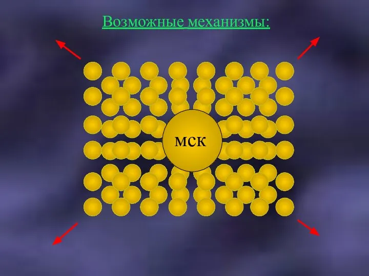 Возможные механизмы: