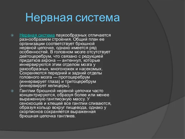 Нервная система Нервная система паукообразных отличается разнообразием строения. Общий план ее