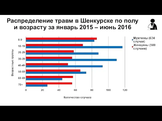 Распределение травм в Шенкурске по полу и возрасту за январь 2015 – июнь 2016