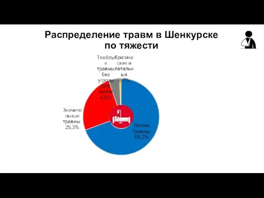 Распределение травм в Шенкурске по тяжести