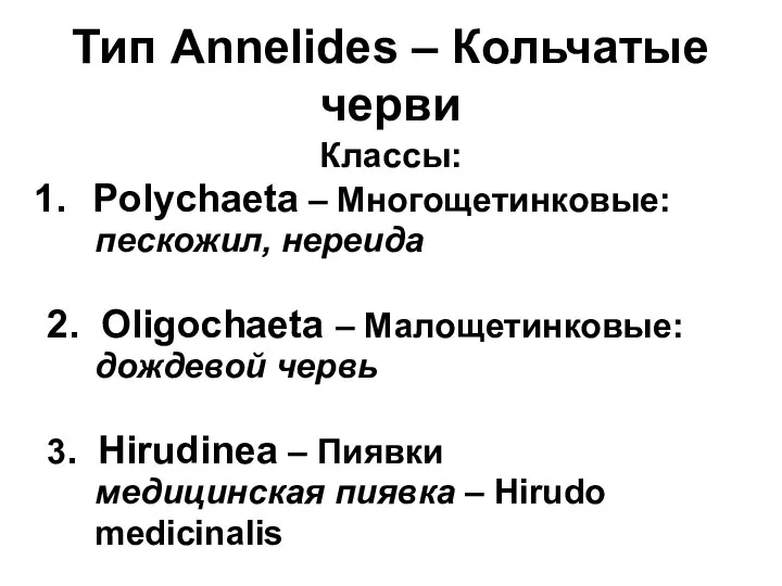 Тип Annelides – Кольчатые черви Классы: Polychaeta – Многощетинковые: пескожил, нереида