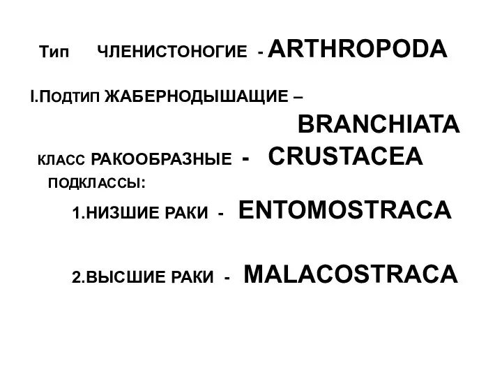 ` Тип ЧЛЕНИСТОНОГИЕ - ARTHROPODA I.ПОДТИП ЖАБЕРНОДЫШАЩИЕ – BRANCHIATA КЛАСС РАКООБРАЗНЫЕ