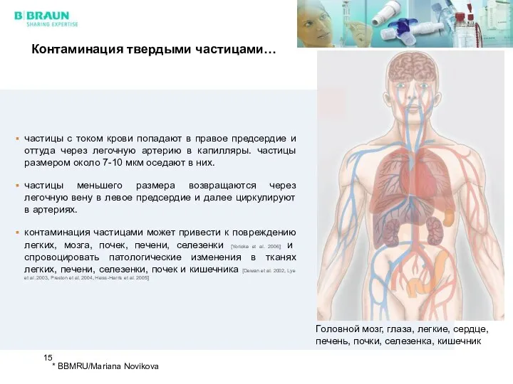 частицы с током крови попадают в правое предсердие и оттуда через