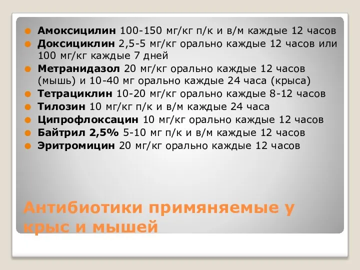 Антибиотики примяняемые у крыс и мышей Амоксицилин 100-150 мг/кг п/к и