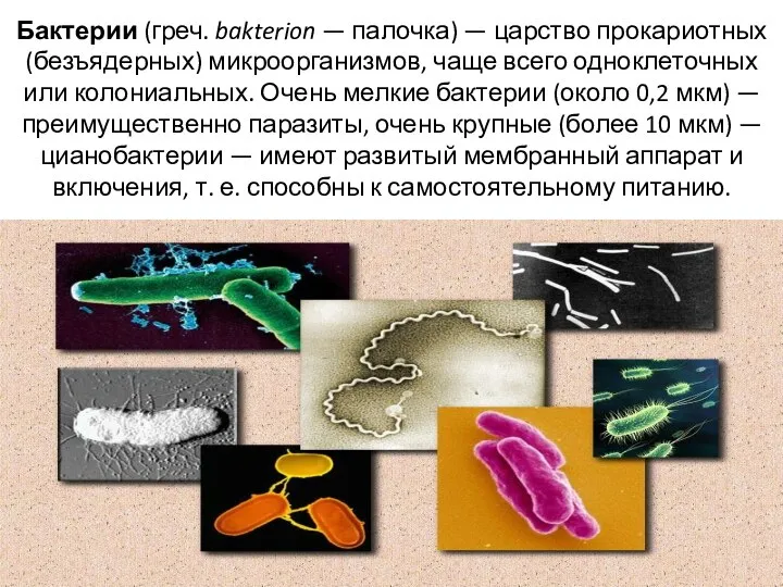 Бактерии (греч. bakterion — палочка) — царство прокариотных (безъядерных) микроорганизмов, чаще