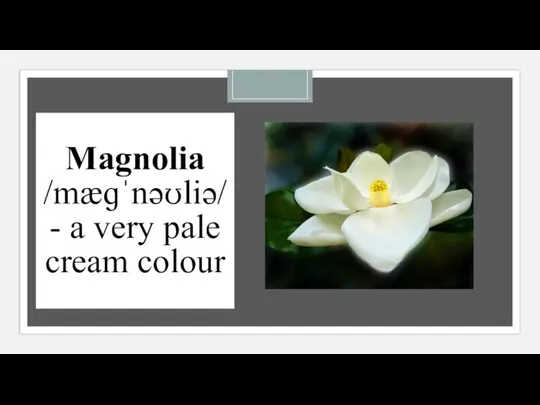 Magnolia /mæɡˈnəʊliə/ - a very pale cream colour