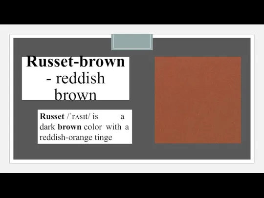 Russet-brown - reddish brown Russet /ˈrʌsɪt/ is a dark brown color with a reddish-orange tinge