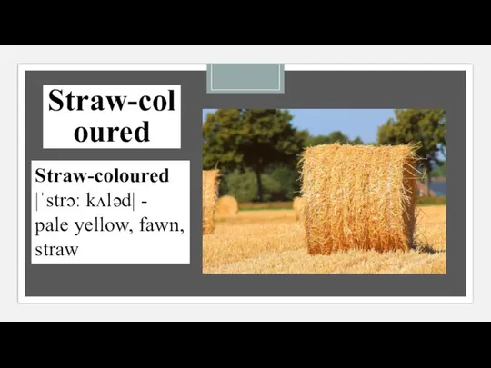 Straw-coloured Straw-coloured |ˈstrɔː kʌləd| - pale yellow, fawn, straw