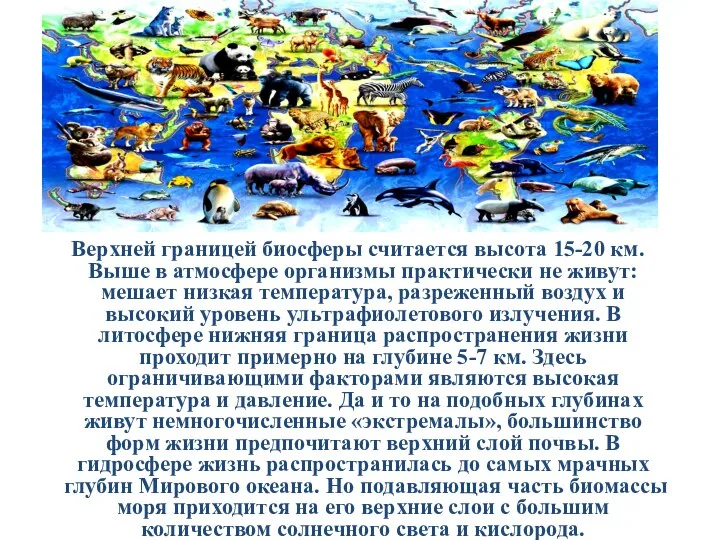 Верхней границей биосферы считается высота 15-20 км. Выше в атмосфере организмы