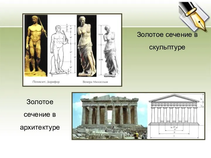 Золотое сечение в скульптуре Золотое сечение в архитектуре