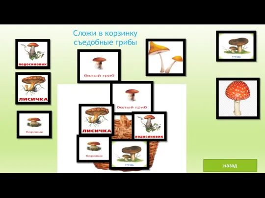 Сложи в корзинку съедобные грибы назад