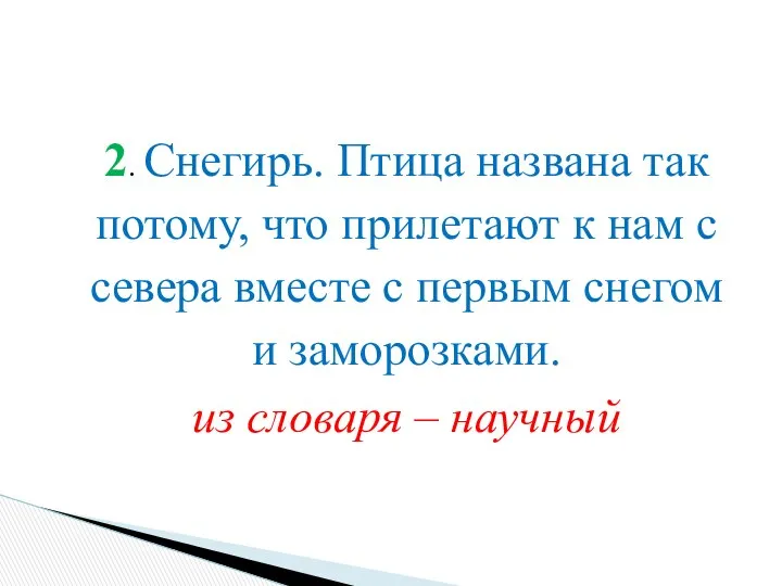 2. Снегирь. Птица названа так потому, что прилетают к нам с