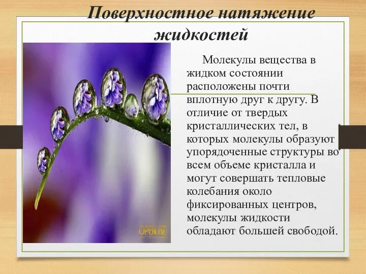 Поверхностное натяжение жидкостей Молекулы вещества в жидком состоянии расположены почти вплотную