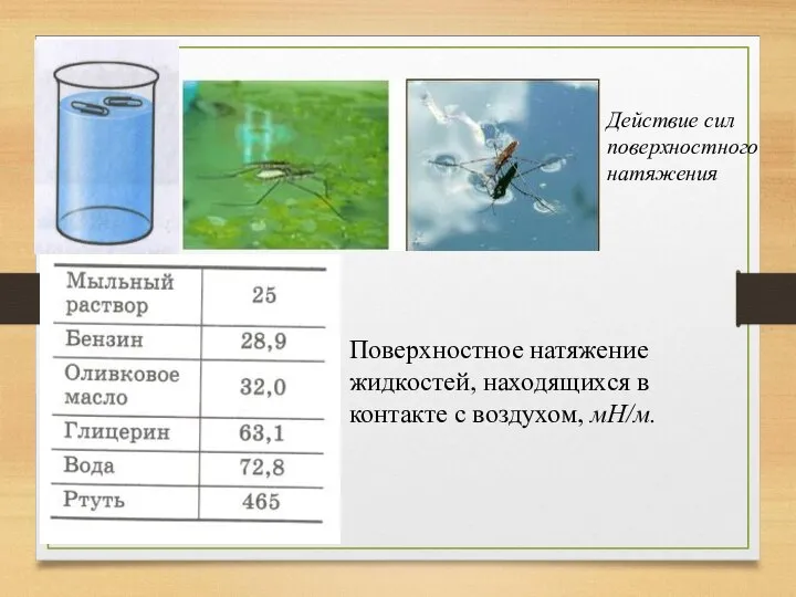 Действие сил поверхностного натяжения Поверхностное натяжение жидкостей, находящихся в контакте с воздухом, мН/м.