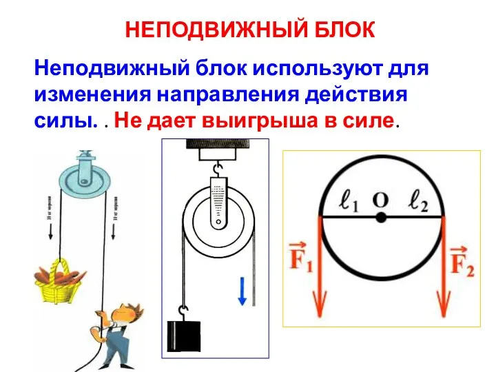 НЕПОДВИЖНЫЙ БЛОК Неподвижный блок используют для изменения направления действия силы. . Не дает выигрыша в силе.