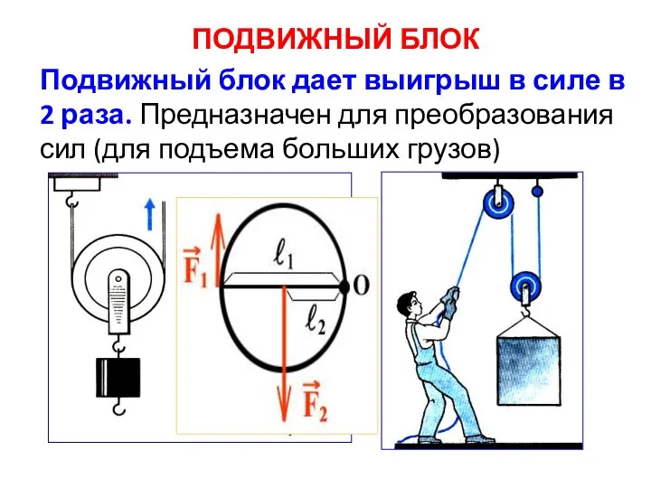 ПОДВИЖНЫЙ БЛОК Подвижный блок дает выигрыш в силе в 2 раза.