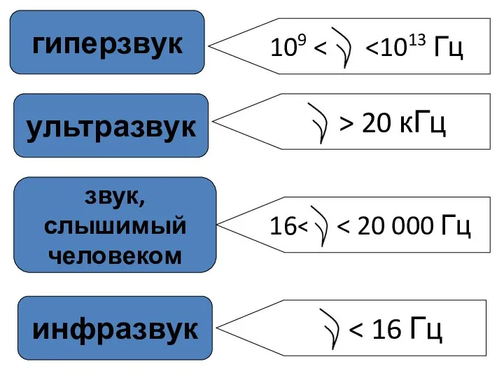 звук, слышимый человеком ультразвук гиперзвук инфразвук > 20 кГц 109 16