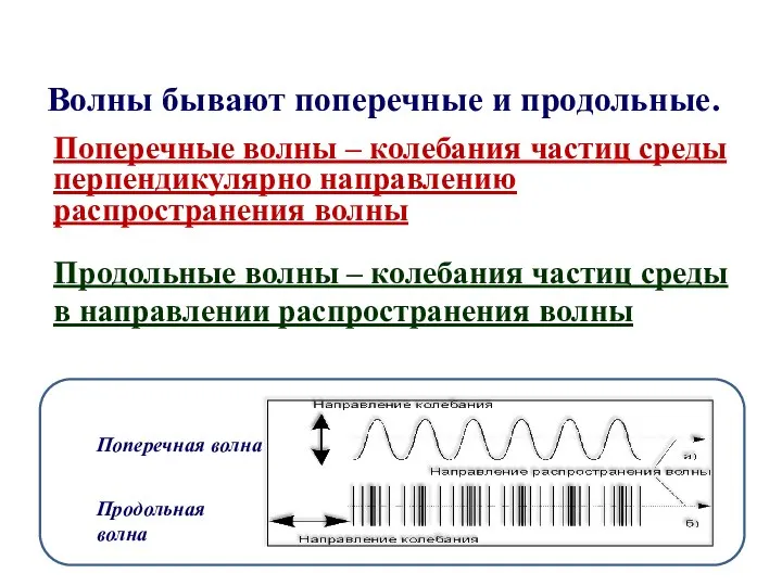 Волны бывают поперечные и продольные. Поперечные волны – колебания частиц среды