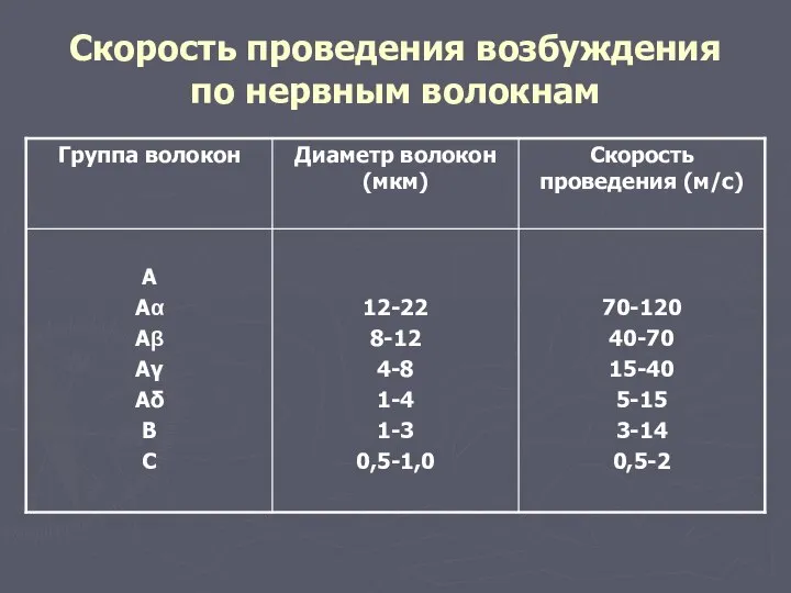 Скорость проведения возбуждения по нервным волокнам