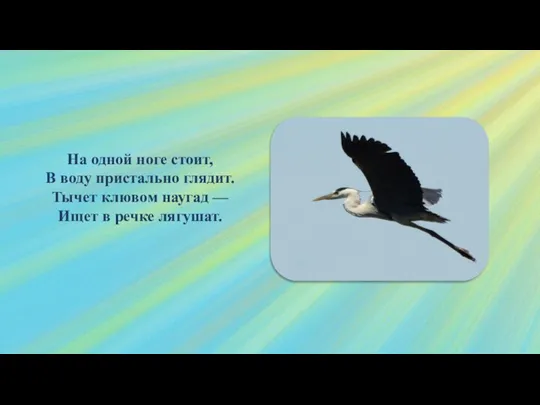 На одной ноге стоит, В воду пристально глядит. Тычет клювом наугад — Ищет в речке лягушат.