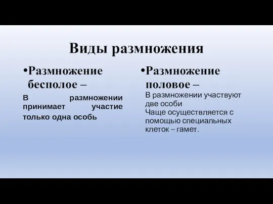 Виды размножения Размножение бесполое – В размножении принимает участие только одна