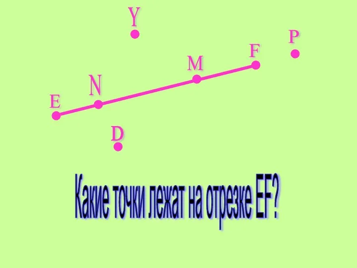 Е F Y P D N M Какие точки лежат на отрезке EF?