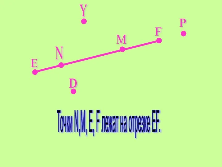 Е F Y P D N M Точки N,M, E, F лежат на отрезке EF.