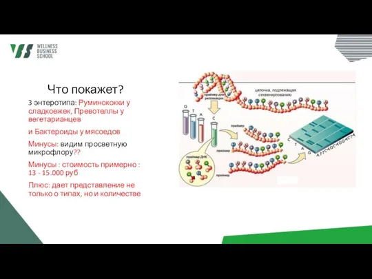 Что покажет? 3 энтеротипа: Руминококки у сладкоежек, Превотеллы у вегетарианцев и