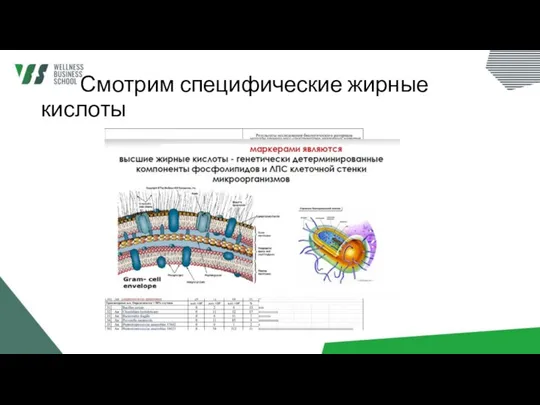 Смотрим специфические жирные кислоты