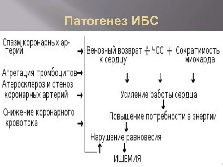 Патогенез ИБС