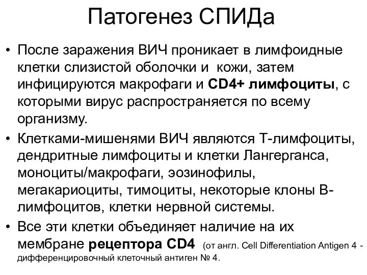 Патогенез СПИДа После заражения ВИЧ проникает в лимфоидные клетки слизистой оболочки