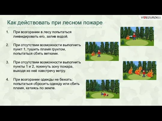 Как действовать при лесном пожаре При возгорании в лесу попытаться ликвидировать